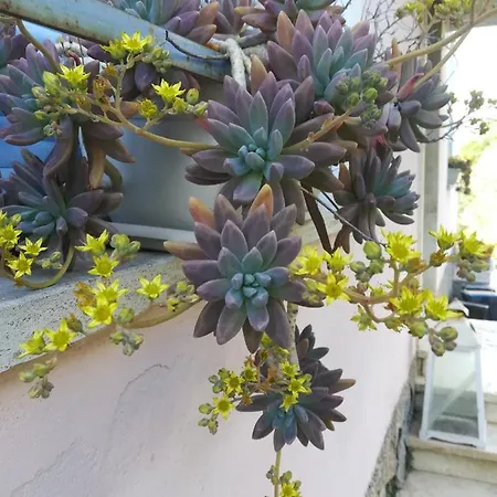 Tramonti E Valli Apartman *