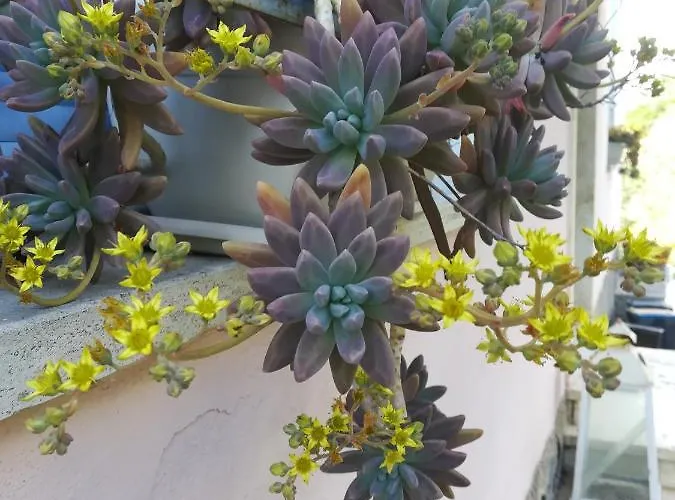 Tramonti E Valli Apartamento *